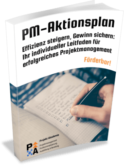 PM-Aktionsplan