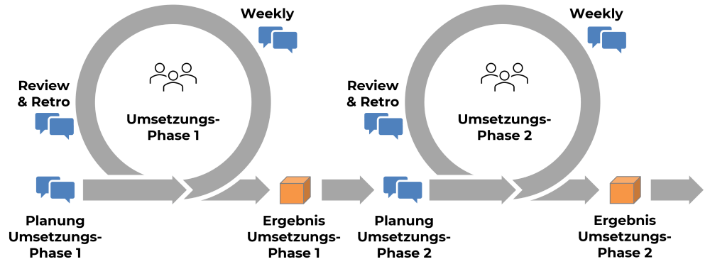 Umsetzung PM-Professionalisierung